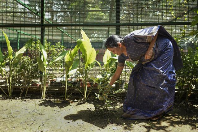 Nirmala Sitharaman during a photo shoot at her residence in Safdarjung, New Delhi. (Burhaan Kinu/HT Photo) Nirmala Sitharaman during a photo shoot at her residence in Safdarjung, New Delhi. (Burhaan Kinu/HT Photo)