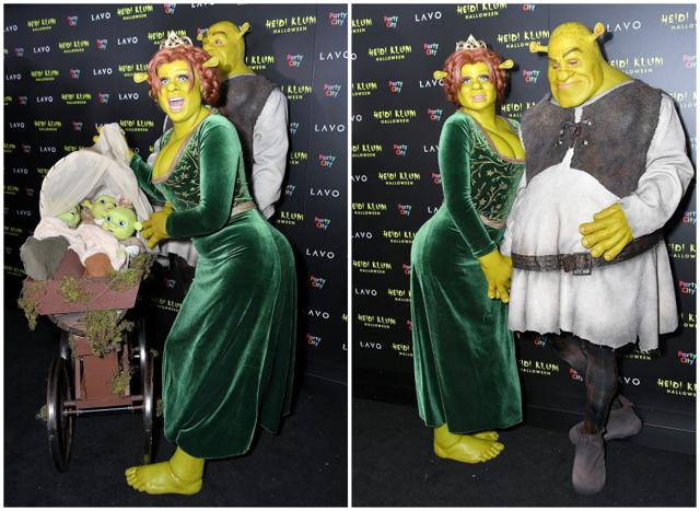 shrek and princess fiona costumes