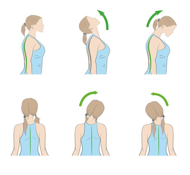 Do these neck stretches 10 times each (Shutterstock) Do these neck stretches 10 times each (Shutterstock)