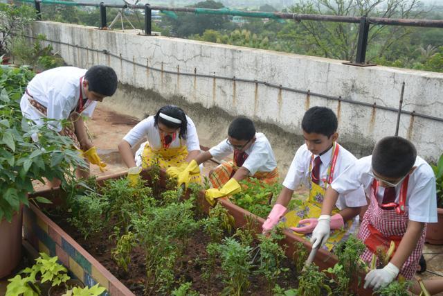 The Sacred Heart campus has 150 plant species and 20 wild vegetables species, which the students and the staff have cultivated. (HT Photo )
