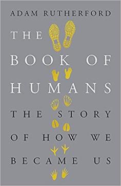 258pp, Rs 599; Hachette 258pp, Rs 599; Hachette