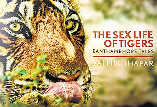 Ranthambhore Tales