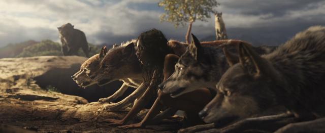 Rohan Chand as Mowgli in the Netflix film Mowgli: Legend of the Jungle. (Netflix) Rohan Chand as Mowgli in the Netflix film Mowgli: Legend of the Jungle. (Netflix)