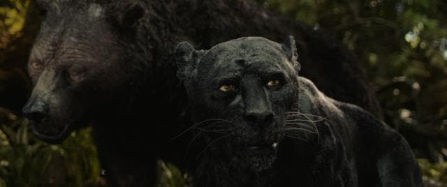 Christian Bale as Bagheera and Andy Serkis as Baloo in the Netflix film Mowgli: Legend of the Jungle. (Netflix)