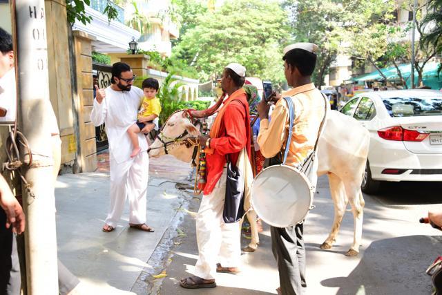 Say hello to cow: Taimur with Saif in Bandra.