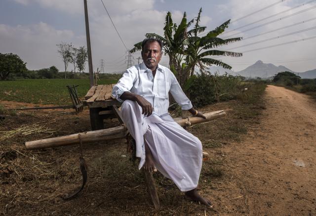 N Venkatramanna at his farm in Anantapur, Andhra Pradesh. He switched from groundnut to quinoa in 2015 and made lakhs in profits. As prices slide, following the glut in Rajasthan, he has returned to groundnut. (Satish Bate / HT Photo) N Venkatramanna at his farm in Anantapur, Andhra Pradesh. He switched from groundnut to quinoa in 2015 and made lakhs in profits. As prices slide, following the glut in Rajasthan, he has returned to groundnut. (Satish Bate / HT Photo)