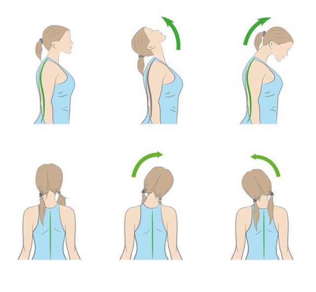 Stretch the side of the neck (Shutterstock ) Stretch the side of the neck (Shutterstock )