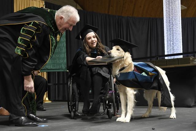"Griffin" Hawley, the Golden Retriever service dog, is presented an honorary diploma by Clarkson University President Tony Collins, left, during the Clarkson University "December Recognition Ceremony" in Potsdam, N.Y., Saturday, Dec. 15, 2018. Griffin's owner, Brittany Hawley, in wheelchair, also received a graduate degree in Occupational Therapy. Both attended 100% of their classes together. (AP) "Griffin" Hawley, the Golden Retriever service dog, is presented an honorary diploma by Clarkson University President Tony Collins, left, during the Clarkson University "December Recognition Ceremony" in Potsdam, N.Y., Saturday, Dec. 15, 2018. Griffin's owner, Brittany Hawley, in wheelchair, also received a graduate degree in Occupational Therapy. Both attended 100% of their classes together. (AP)