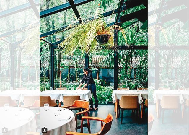 Sühring has a Winter Garden, an elegant glasshouse on the verdant green property that was built in 1970 Sühring has a Winter Garden, an elegant glasshouse on the verdant green property that was built in 1970