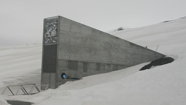 Withdrawals have already been made from the seed bank in Norway, to replenish agricultural stocks in war-torn regions like Syria. Withdrawals have already been made from the seed bank in Norway, to replenish agricultural stocks in war-torn regions like Syria.