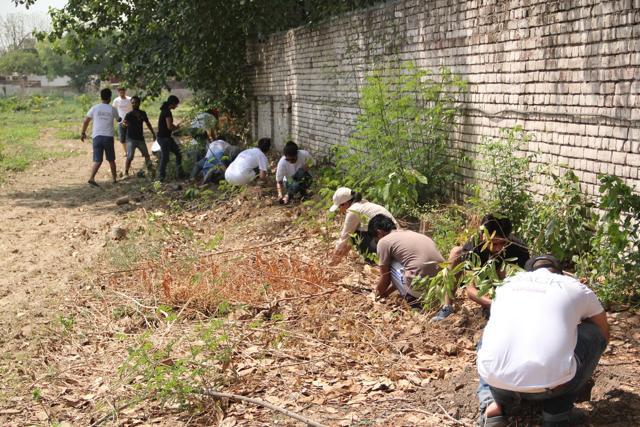 A group of Gurugram residents has turned a barren piece of land into a lush green property.