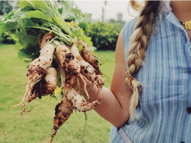 Harvests can be small sometimes. This bunch of radish was the first on Laura Khanna’s 1-acre farm in Panchgani. Harvests can be small sometimes. This bunch of radish was the first on Laura Khanna’s 1-acre farm in Panchgani.