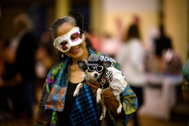 An owner holds her dog, dressed up for a show, backstage at the 16th annual New York Pet Fashion Show on February 7, 2019 in New York City. (Photo by Johannes EISELE / AFP) (AFP) An owner holds her dog, dressed up for a show, backstage at the 16th annual New York Pet Fashion Show on February 7, 2019 in New York City. (Photo by Johannes EISELE / AFP) (AFP)