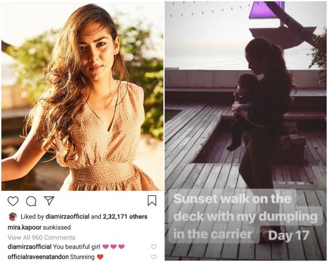 Mira Rajput often posts pictures and video clips about her family on Instagram. Mira Rajput often posts pictures and video clips about her family on Instagram.