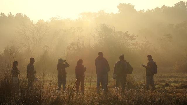 As part of the GBBC, a nationwide campus bird count is also being organised, for which more than 100 institutions across the country have signed up already. (Anurag Vishwakarma)