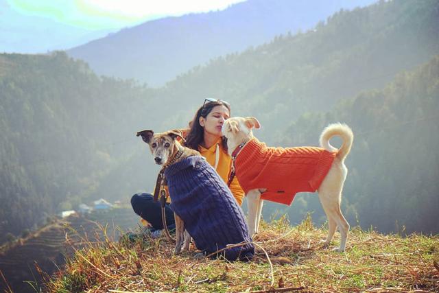 Marcopolo and Tigress even have their own sweaters. “I ensure I carry the winter clothing for the dogs whenever we are off to the hills,” says Dugar. Marcopolo and Tigress even have their own sweaters. “I ensure I carry the winter clothing for the dogs whenever we are off to the hills,” says Dugar.