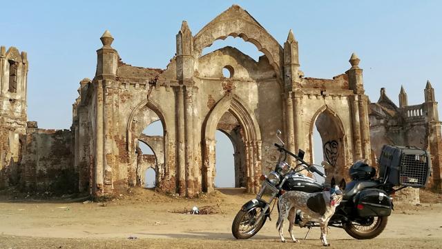 Gowtham Kumar built a bike seat — and goggles — for his pet stray, Chandramouli. The glares were a DIY project made by upcycling his swimming goggles with a strap from an old helmet. Gowtham Kumar built a bike seat — and goggles — for his pet stray, Chandramouli. The glares were a DIY project made by upcycling his swimming goggles with a strap from an old helmet.