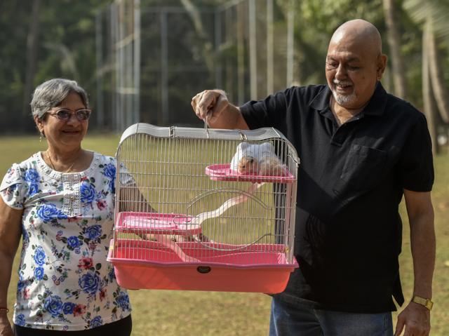 Mehernosh and Zareen Pastakia travel with their hamster, Sultan — and his three-level penthouse, a special cage with ladders and atiny ‘bedroom’. (Kunal Patil/HT Photo) Mehernosh and Zareen Pastakia travel with their hamster, Sultan — and his three-level penthouse, a special cage with ladders and atiny ‘bedroom’. (Kunal Patil/HT Photo)