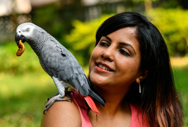Rina Dev’s pet parrot Kamaki loves to have the radio on in the car. “He starts clucking and does these little grooving steps,” she says, laughing. (SHASHI KASHYAP/ HT PHOTO)