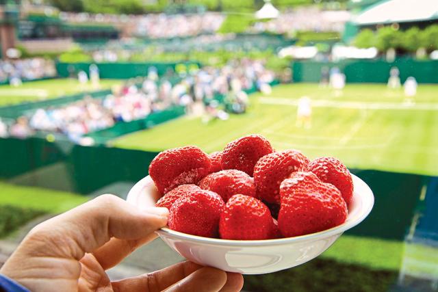 Strawberries are a winter fruit and taste best when the weather is cold (Alamy)