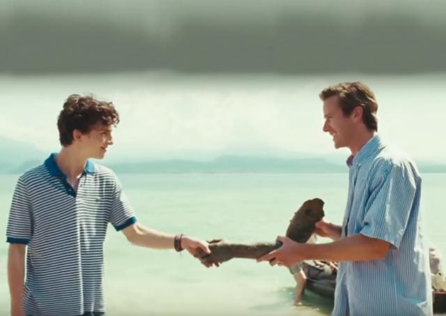 Call Me By Your Name, directed by Luca Guadagnino, won the Best Adapted Screenplay at the 90th Academy Awards.