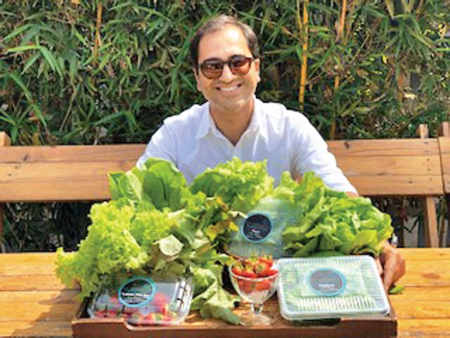 Karan Jolly grows fresh salad vegetables and fruits the hydroponic way