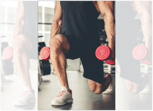 The lunge matrix The lunge matrix