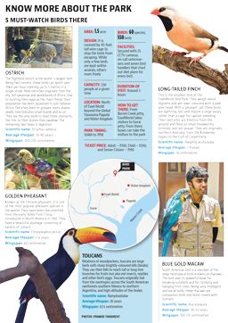 Article image Article image