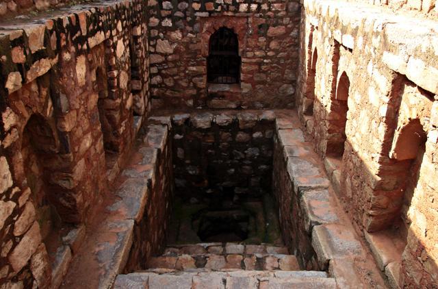 Loharehri Baoli in Sector-12, Dwarka (Shivam Saxena/HT)