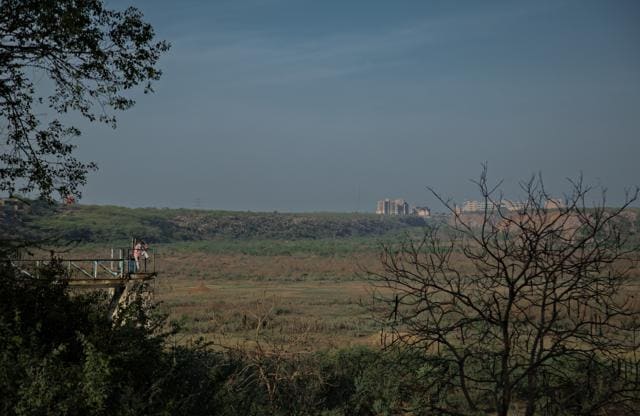 The now dried up Bhadkal Lake was once a popular picnic spot (Jasjeet Plaha/HT) The now dried up Bhadkal Lake was once a popular picnic spot (Jasjeet Plaha/HT)