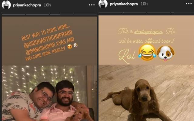 Priyanka also shared some pictures on her Instagram stories. Priyanka also shared some pictures on her Instagram stories.