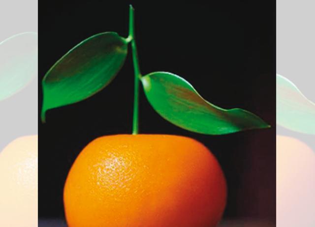 Meat Fruit looks like a fruit but is actually created from chicken liver mousse Meat Fruit looks like a fruit but is actually created from chicken liver mousse