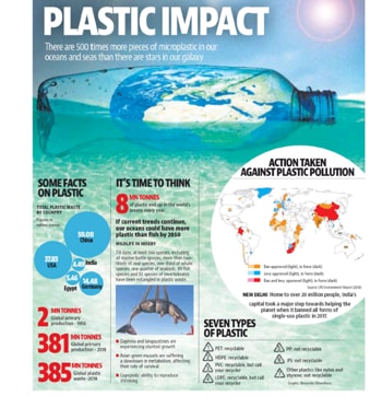 PLASTIC IMPACT: UNGA president praises India’s war on plastic pollution ...