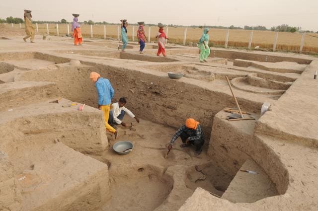 People work during an excavation at a pre-Harappan site, at Kunal village. (Parveen Kumar / HT Photo ) People work during an excavation at a pre-Harappan site, at Kunal village. (Parveen Kumar / HT Photo )