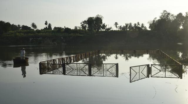 Forest department has made wire compound for the villagers of Chopdewadi to wash clothes and utensils in Sangli. (Anshuman Poyrekar/HT Photo) Forest department has made wire compound for the villagers of Chopdewadi to wash clothes and utensils in Sangli. (Anshuman Poyrekar/HT Photo)
