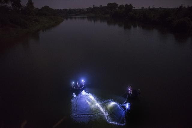 Fishermen of Bhilewadi have started the fishing at night to avoid attacks by crocodiles. (Anshuman Poyrekar/HT Photo) Fishermen of Bhilewadi have started the fishing at night to avoid attacks by crocodiles. (Anshuman Poyrekar/HT Photo)