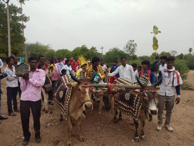 The marriage party arrived at the bride’s village in bullock carts. (HT Photo ) The marriage party arrived at the bride’s village in bullock carts. (HT Photo )