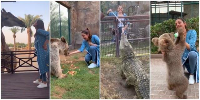 Kajal Aggarwal at the zoo. Kajal Aggarwal at the zoo.