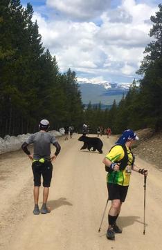 Leadville Trail Marathon came to an abrupt halt . Leadville Trail Marathon came to an abrupt halt .