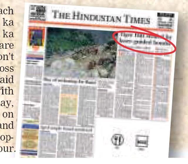 Article image Article image