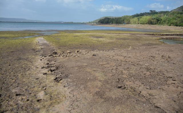 Water level in Khadakwasla dam as on June 18 2019. (Milind Saurkar/HT Photo) Water level in Khadakwasla dam as on June 18 2019. (Milind Saurkar/HT Photo)