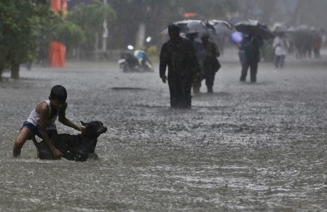 A boy plays with his pet dog in a waterlogged street during monsoon rains in Mumbai, India, Monday, July 1, 2019. (AP photo) A boy plays with his pet dog in a waterlogged street during monsoon rains in Mumbai, India, Monday, July 1, 2019. (AP photo)