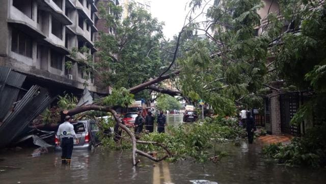 Tree collapsed at Tilak Nagar in Mumbai’s Chembur. (Kunal Patil/HT Photo ) Tree collapsed at Tilak Nagar in Mumbai’s Chembur. (Kunal Patil/HT Photo )
