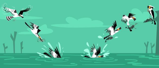 Osprey illustration from (Rohan Chakravarty)