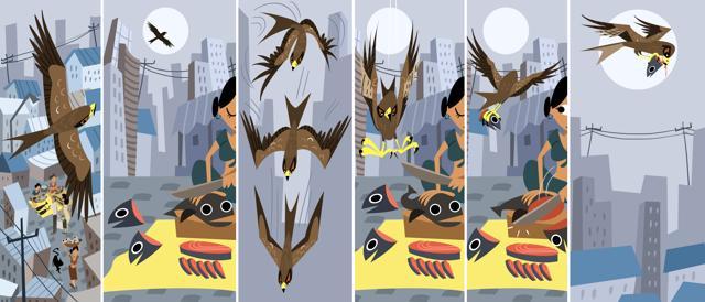 Black kite illustration from (Rohan Chakravarty) Black kite illustration from (Rohan Chakravarty)