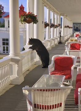 Sam Geesaman captured the image in the hotel where he works. (AP) Sam Geesaman captured the image in the hotel where he works. (AP)