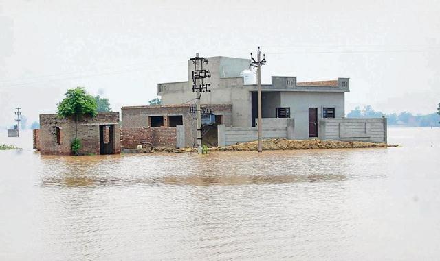 A house submerged in floodwater on the outskirts of Moonak town in Sangrur district on Sunday, July 21, 2019. (HT PHoto ) A house submerged in floodwater on the outskirts of Moonak town in Sangrur district on Sunday, July 21, 2019. (HT PHoto )