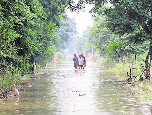 People wading through a waterlogged road, Moonak, Punjab. (HT Photo )