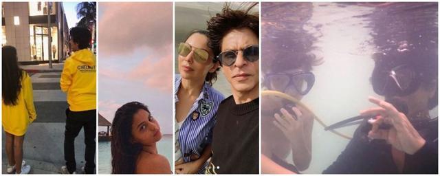 More pictures from the world of Shah Rukh Khan. (Instagram)