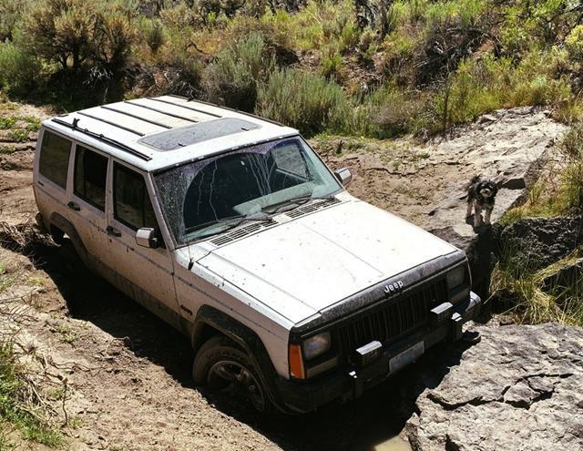 This undated photo provided by the Oregon State Police shows a jeep and dog belonging to a 73-year-old man who was found by a mountain biker on July 18, 2019. (AP) This undated photo provided by the Oregon State Police shows a jeep and dog belonging to a 73-year-old man who was found by a mountain biker on July 18, 2019. (AP)